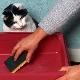 Кой е най-добрият начин да измиете тавата за котки, така че да няма миризма?