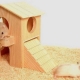 Wie und woraus kann man mit eigenen Händen ein Haus für einen Hamster bauen?