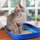 Ako používať stelivo pre mačky?