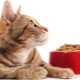 Класове храна за котки: разлики и нюанси на избор