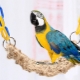 Видове и избор на играчки за папагал