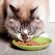 أغذية القطط الرطبة فائقة الجودة: التكوين ، العلامات التجارية ، الاختيار