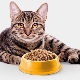Krmivo pre mačky bez zrna