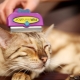 Ferminatorer för katter: beskrivning, typer, urval och tillämpning