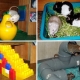 Hračky pre potkany: typy, tipy na výber a tvorbu