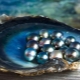 Hvordan dannes perle, og hvor kan jeg finde den?