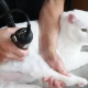 How to cut a cat at home?