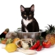 How to choose vegetarian and vegan cat food?