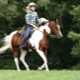 Jodinėjimas žirgais: privalumai, trūkumai ir pagrindinės rekomendacijos