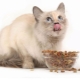 Храна Holostica за стерилизирани котки