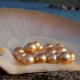 Речни перли: характеристики, свойства и разлики от морските