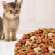 تصنيف تغذية القطط وقواعد الاختيار