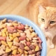 مقارنة طعام القطط: الفصول والتراكيب والعلامات التجارية