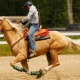 Видове галоп на коня и правила за езда
