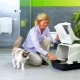 Nhà vệ sinh khép kín cho mèo và mèo: mô tả, lựa chọn và sử dụng