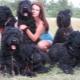 Fekete Terrier: fajtaleírás és tartalmi titkok