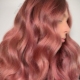 El color dels cabells d'or rosa: matisos i matisos de tintura