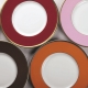 Plattenfarben: Mögliche Optionen und Auswahlmöglichkeiten