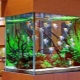 Umjetne biljke za akvarij: primjena, prednosti i nedostaci
