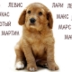 Wie wählt man einen Spitznamen für Hunde großer Rassen?