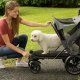 Детски колички за кучета: видове, характеристики на избор и употреба