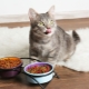 طعام القطط والقطط: الأنواع وتصنيف الشركات المصنعة وقواعد الاختيار