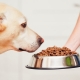 Makan untuk anjing baka besar: jenis dan kriteria pemilihan