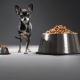 Essen für Toy Terrier: Was ist und wie soll man wählen?