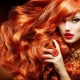 Koper haarkleur: modieuze tinten en kleurtips