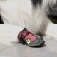 أحذية الكلب: أنواع وتوصيات للاختيار