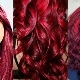 لون شعر ياقوت: ظلال ، اختيار الطلاء ، نصائح للعناية