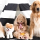 ألطف الكلاب: التشابه ، أعلى أفضل السلالات ، الاختيار والرعاية