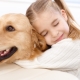 Anjing untuk kanak-kanak: keterangan dan pilihan baka