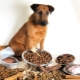 Premium ξηρό τρόφιμα σκυλιών