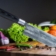 سكاكين المطبخ اليابانية: الأنواع وقواعد الاختيار والرعاية