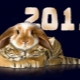 2011 es el año de qué animal y qué conlleva para los nacidos en este momento?