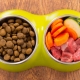 Кое е по-добро: естествена или суха храна за кучета?
