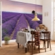 Nástěnné malby v kuchyni, rozšiřující prostor: odrůdy, výběr a pravidla instalace
