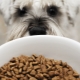 أغذية الكلاب المضادة للحساسية: الميزات والأنواع ومعايير الاختيار