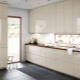 Glänzende Küche im Innenraum: Vor- und Nachteile, Gebrauchsideen