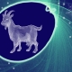 Година на козата: Характеристика и съвместимост