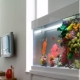 Umělé akvárium: druhy a použití