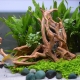 Как да направите коприва дървесина за аквариум със собствените си ръце?