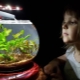 Как да изберем филтър за кръгъл аквариум?