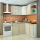 Kampiniai virtuvės baldai: veislės ir dizaino variantai
