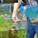 Промяна на водата в аквариума