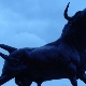 Bull Male: tahun kelahiran, ciri dan keserasian