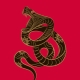 Мъжки змия: Характеристика и съвместимост