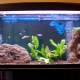 Design an aquarium with a capacity of 200 liters