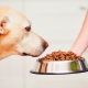 ما مقدار الطعام الجاف الذي يحتاجه الكلب يوميًا؟